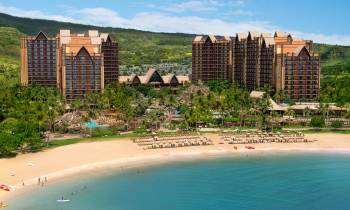 a group of people in a pool of water with Aulani in the background