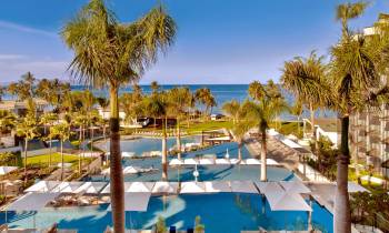 a group of palm trees next to a pool of water