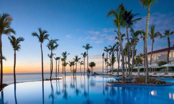 a group of palm trees next to a body of water