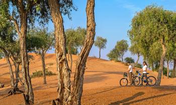 a person riding a bike down a dirt road