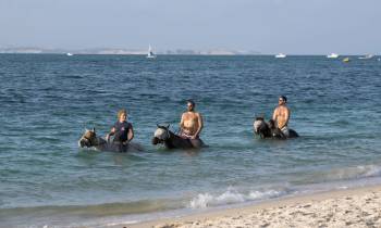 a group of people in a body of water