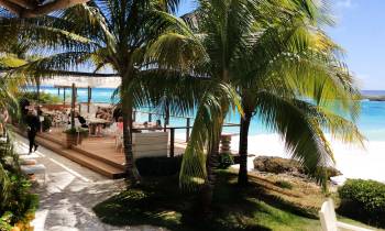 La Palapa