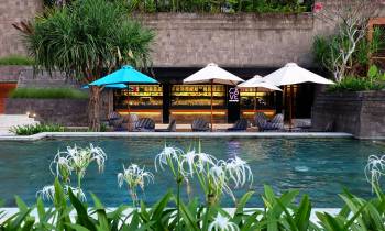a garden with water in front of a house