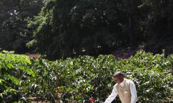 a man standing in front of a tree