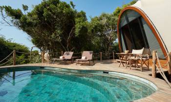 Cocoon Pool Suite