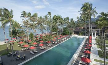 a group of palm trees next to a pool of water