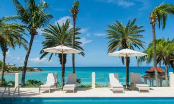 a group of lawn chairs sitting next to a palm tree on a beach
