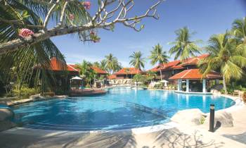 a group of palm trees next to a pool of water