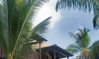 Serena Beach