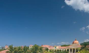 a group of palm trees on a sunny day