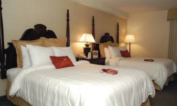 Double 2 room