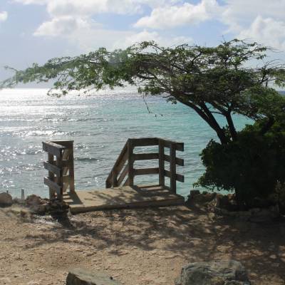 a bench next to a body of water