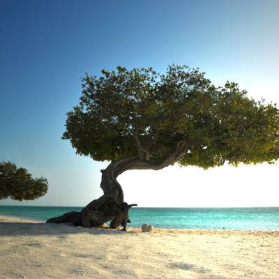 a person sitting on a beach near a body of water