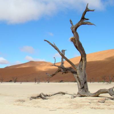 Sossusvlei desert