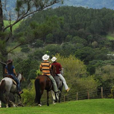 a group of people riding on the back of a horse