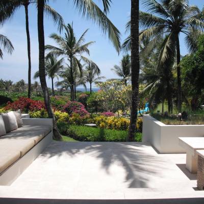 a bench next to a palm tree
