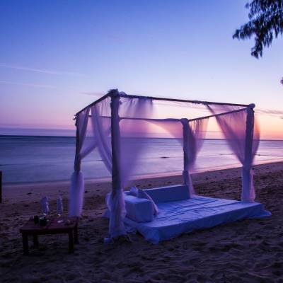 Beach Dinner
