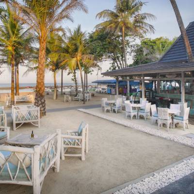 a group of palm trees next to a pool