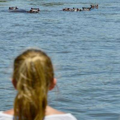 a person standing next to a body of water