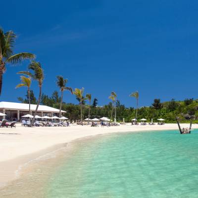 a group of palm trees on a beach near a body of water