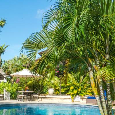 a pool next to a palm tree