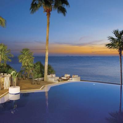 a palm tree in front of a body of water
