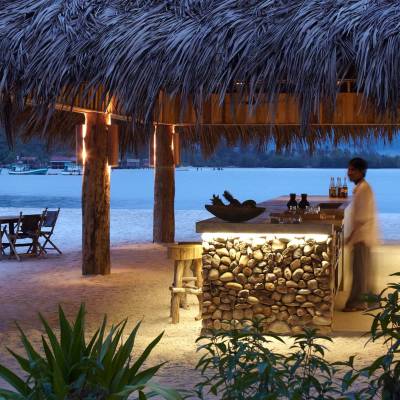 a group of palm trees on a beach