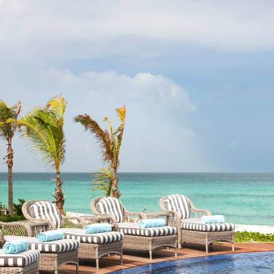 a group of palm trees next to a body of water