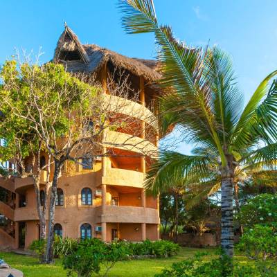 a palm tree in front of a building
