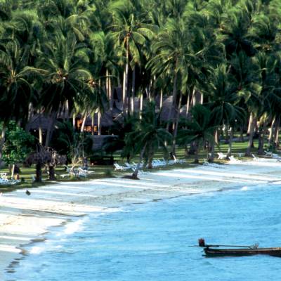 a group of palm trees next to a pool of water