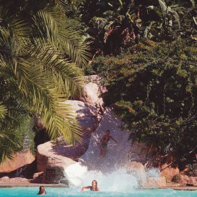 a group of people swimming in a body of water