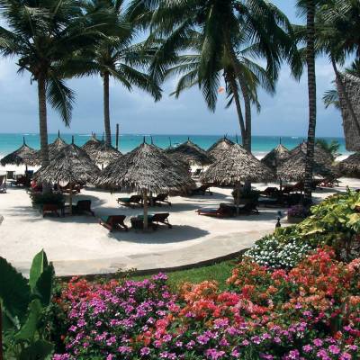a group of lawn chairs sitting next to a palm tree