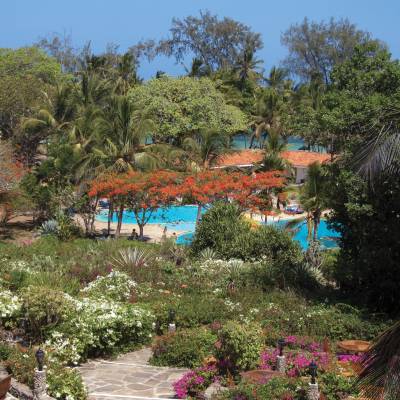 a group of bushes in a garden