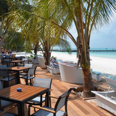 Dhoni bar