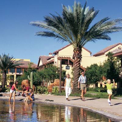 a group of people walking in front of a palm tree