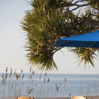 a beach with a palm tree on a table