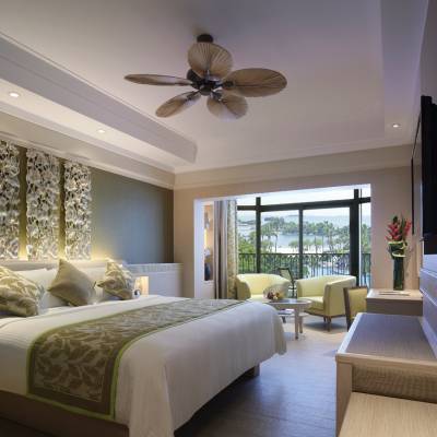 Deluxe Pool View Room