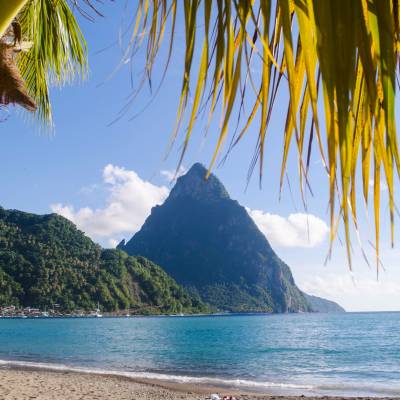 a beach with a palm tree in front of a body of water