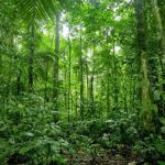 Best time for South America Travel
