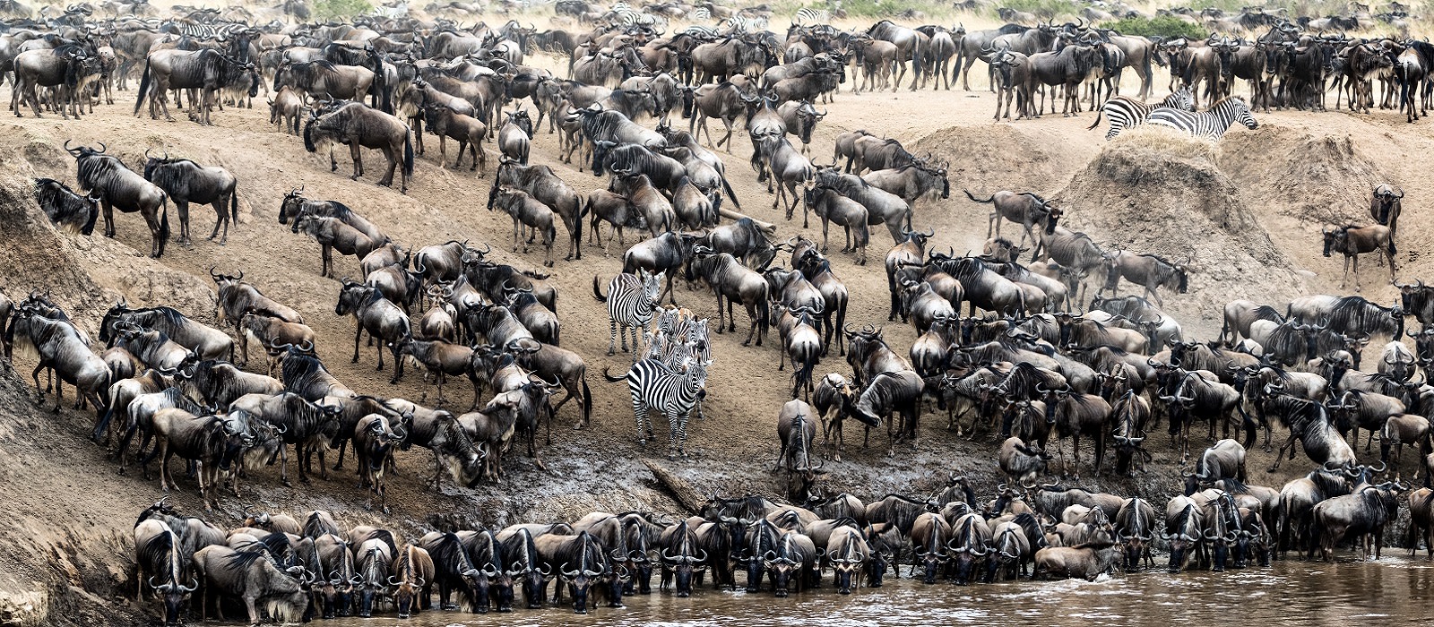 Enchanting Travels Kenya Tours Masai Mara 4