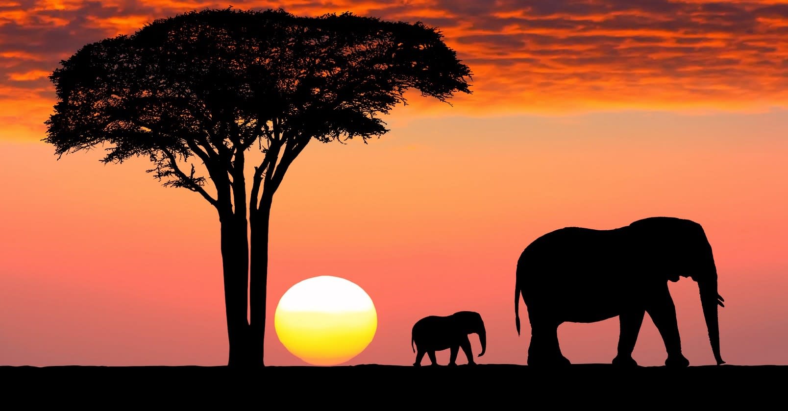 Die Great Migration gehört zu den Tansania Sehenswürdigkeiten schlechthin Die Great Migration gehört zu den Tansania Sehenswürdigkeiten schlechthin