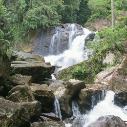 Wasserfälle im Sinharaja Regenwald