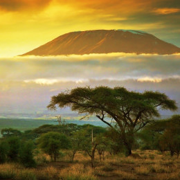 things to do in kenya