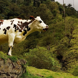 Best time to visit Colombia