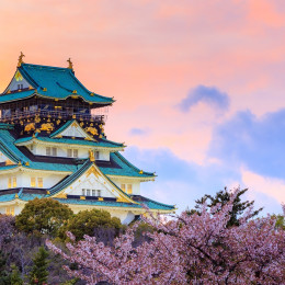 Enchanting Travels Japan Tours Twilight at Osaka castle during Cherry blossoms season in Osaka, Japan - History of Japan