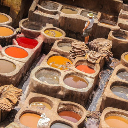 Fes is famous for its tanneries