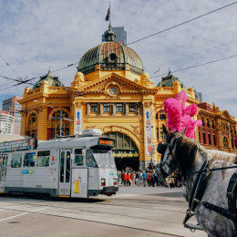 Australia Travel Guide - getting around