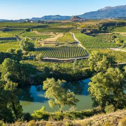 Things to do in Spain - La Rioja