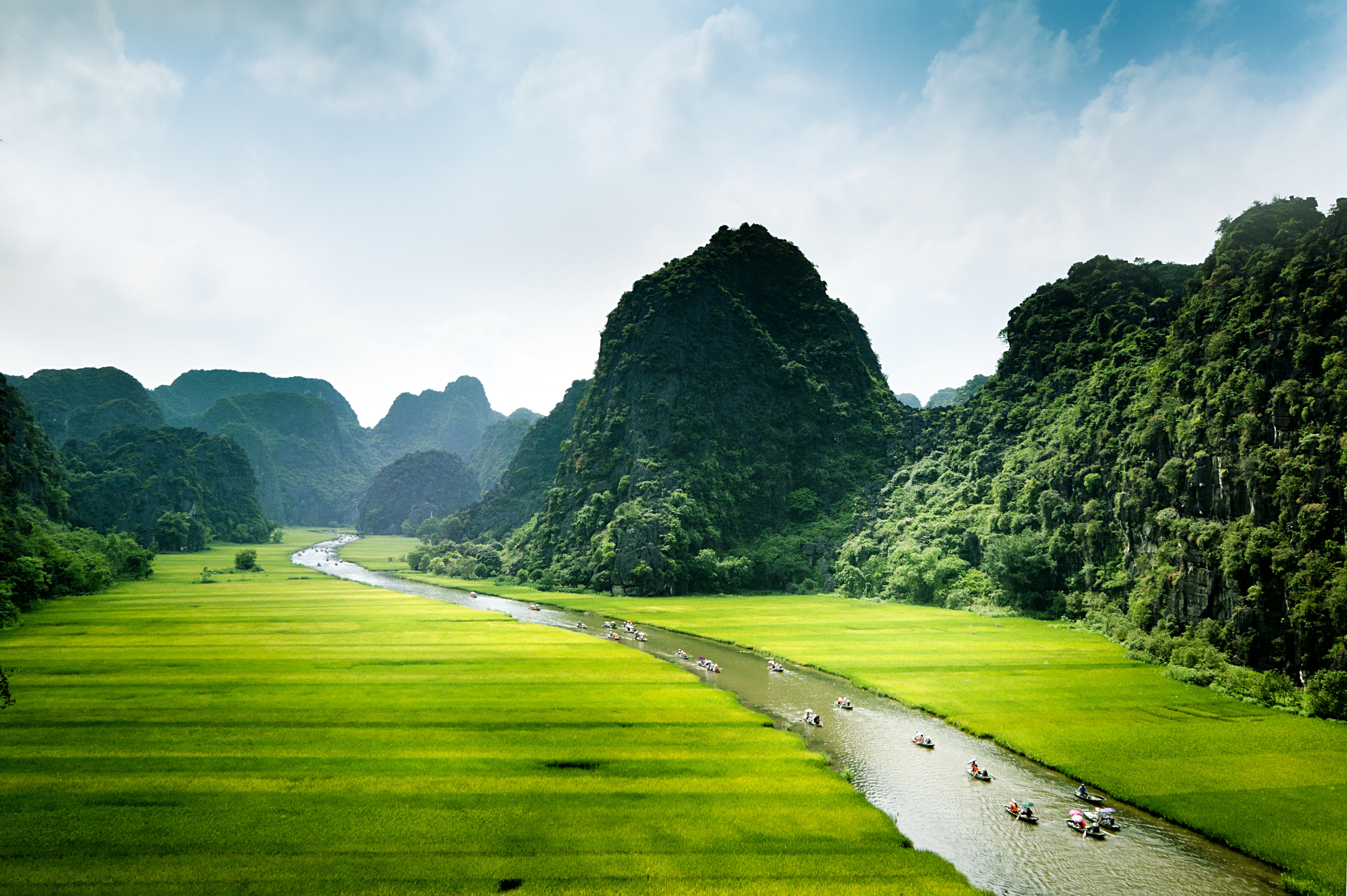 Rice field and river, Ninh Binh, vietnam landscapes Rice field and river, Ninh Binh, vietnam landscapes