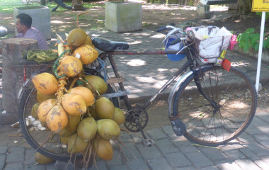 Ein altes, mit Früchten beladenes Fahrrad in Sri Lanka